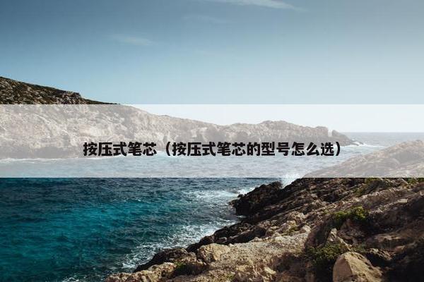 按压式笔芯（按压式笔芯的型号怎么选）