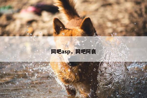 网吧asp，网吧阿衰