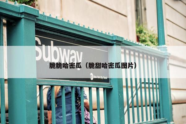 脆脆哈密瓜（脆甜哈密瓜图片）