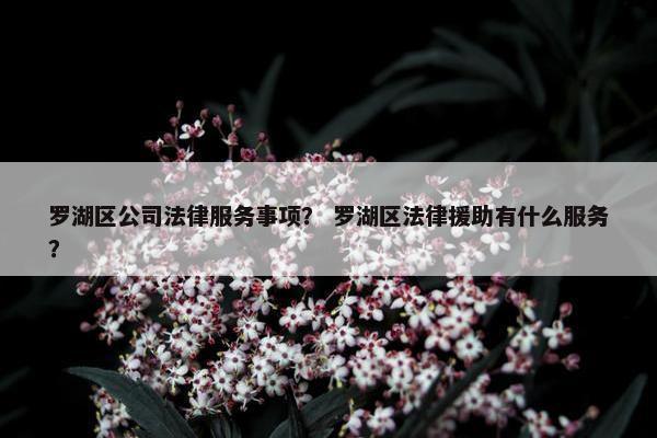 罗湖区公司法律服务事项？ 罗湖区法律援助有什么服务？