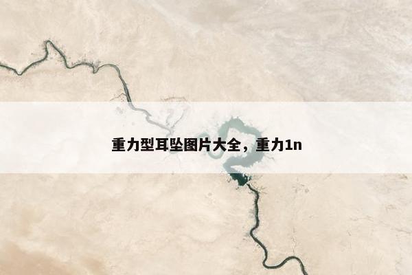 重力型耳坠图片大全，重力1n