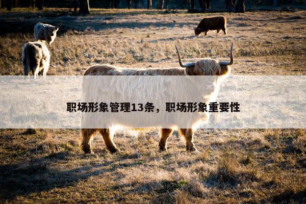 职场形象管理13条，职场形象重要性