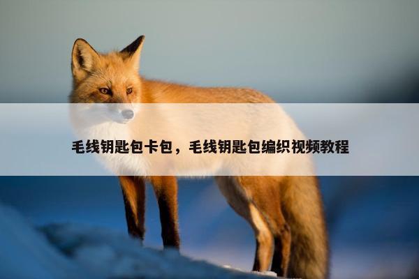毛线钥匙包卡包，毛线钥匙包编织视频教程