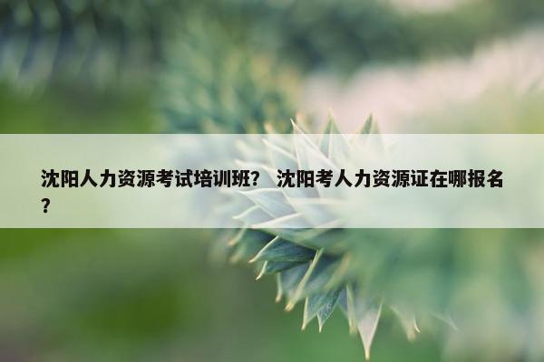 沈阳人力资源考试培训班？ 沈阳考人力资源证在哪报名？