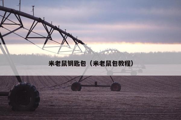 米老鼠钥匙包（米老鼠包教程）