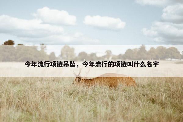 今年流行项链吊坠，今年流行的项链叫什么名字