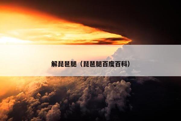 解琵琶腿（琵琶腿百度百科）