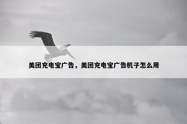 美团充电宝广告，美团充电宝广告机子怎么用