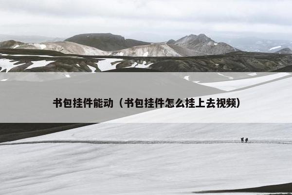 书包挂件能动（书包挂件怎么挂上去视频）