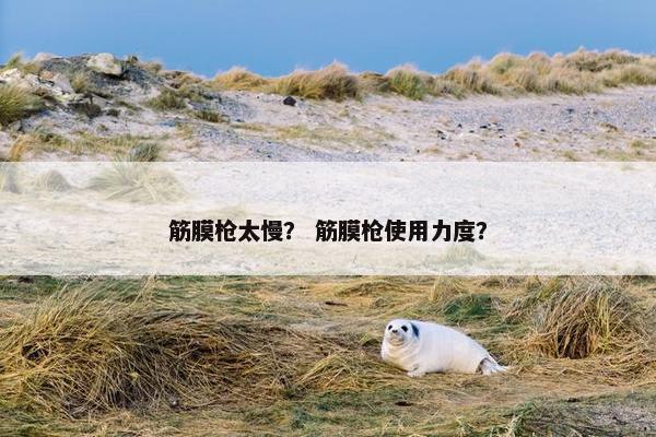 筋膜枪太慢？ 筋膜枪使用力度？