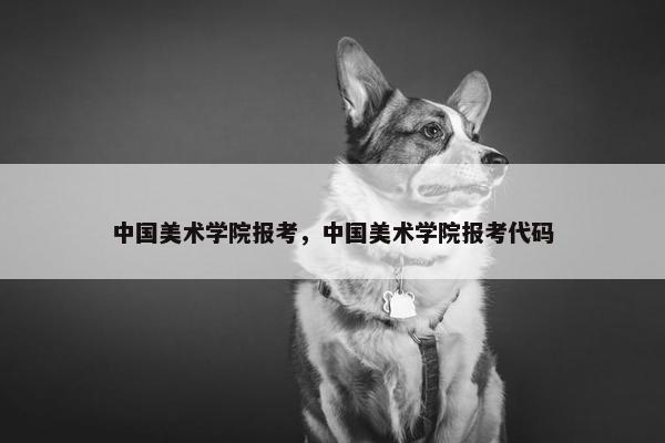 中国美术学院报考，中国美术学院报考代码