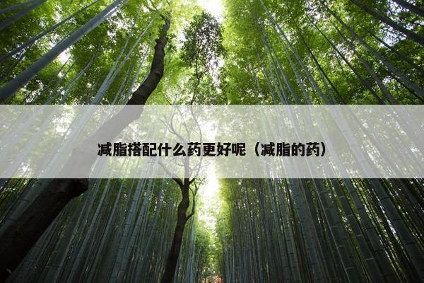减脂搭配什么药更好呢（减脂的药）