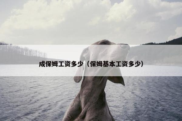 成保姆工资多少（保姆基本工资多少）