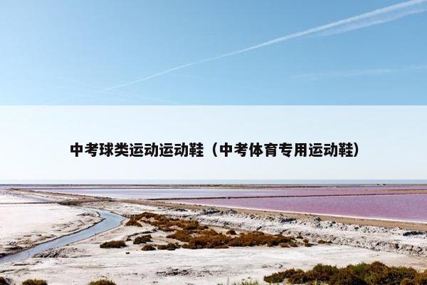 中考球类运动运动鞋（中考体育专用运动鞋）