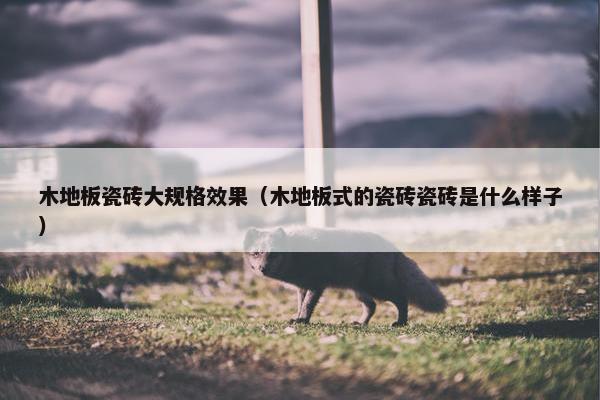 木地板瓷砖大规格效果（木地板式的瓷砖瓷砖是什么样子）