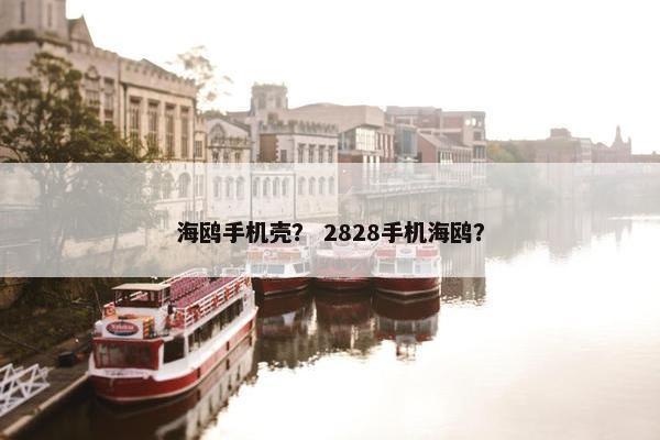 海鸥手机壳？ 2828手机海鸥？