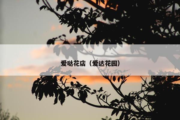 爱哒花店（爱达花园）