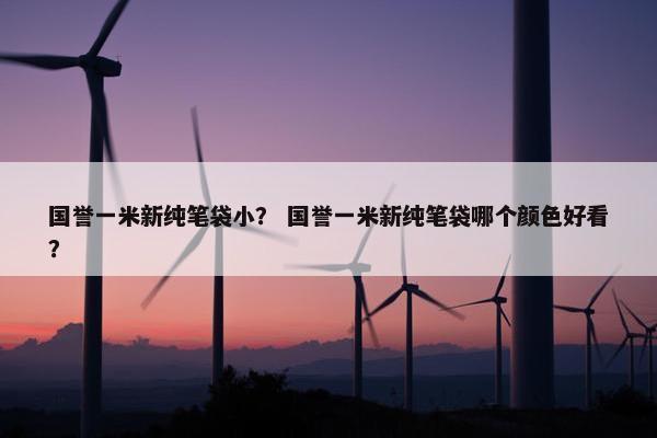 国誉一米新纯笔袋小？ 国誉一米新纯笔袋哪个颜色好看？