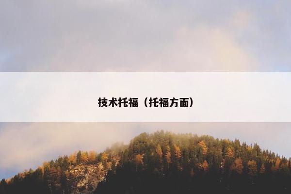 技术托福（托福方面）