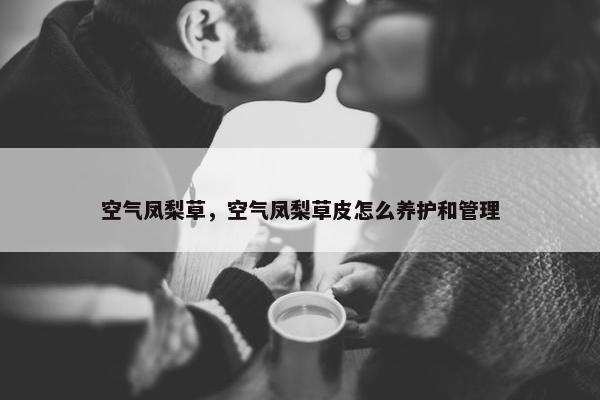 空气凤梨草，空气凤梨草皮怎么养护和管理