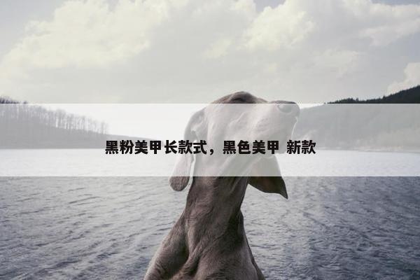 黑粉美甲长款式，黑色美甲 新款