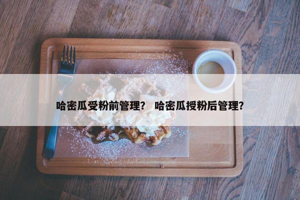 哈密瓜受粉前管理？ 哈密瓜授粉后管理？