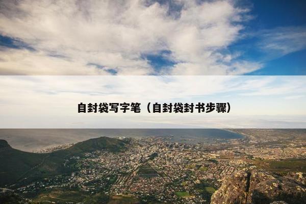 自封袋写字笔（自封袋封书步骤）