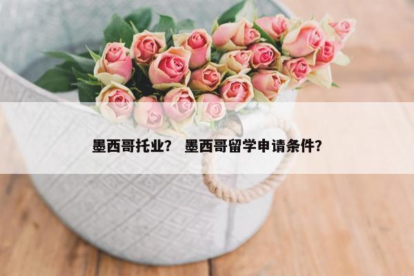 墨西哥托业？ 墨西哥留学申请条件？