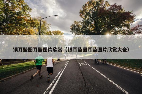 银耳坠圈耳坠图片欣赏（银耳坠圈耳坠图片欣赏大全）