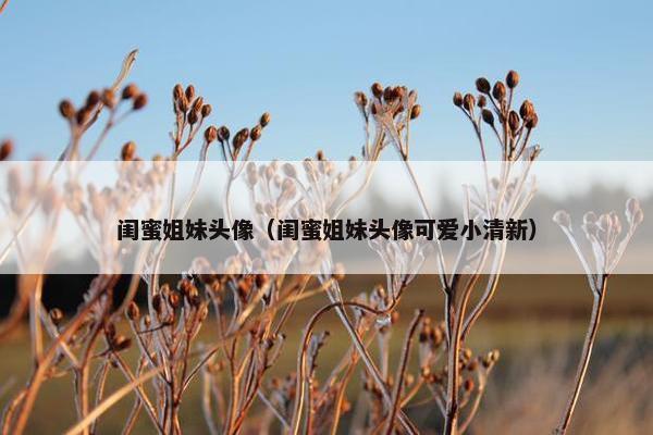 闺蜜姐妹头像（闺蜜姐妹头像可爱小清新）