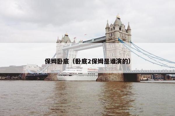 保姆卧底（卧底2保姆是谁演的）