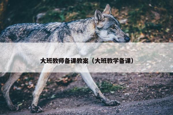 大班教师备课教案（大班教学备课）