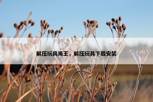解压玩具海王，解压玩具下载安装