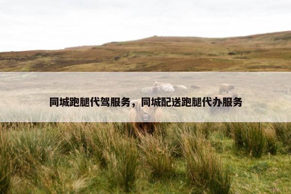 同城跑腿代驾服务，同城配送跑腿代办服务