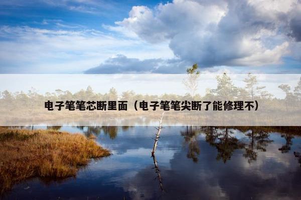 电子笔笔芯断里面（电子笔笔尖断了能修理不）