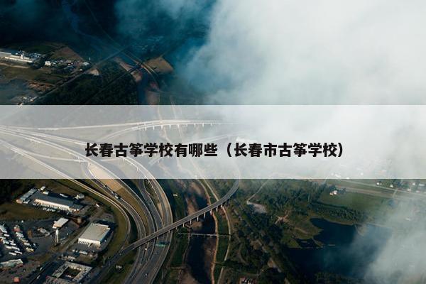 长春古筝学校有哪些（长春市古筝学校）