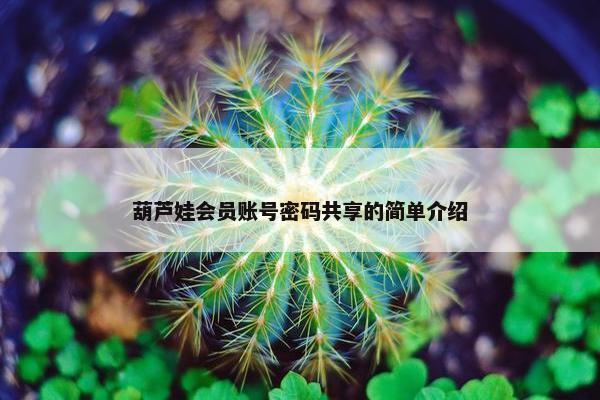 葫芦娃会员账号密码共享的简单介绍