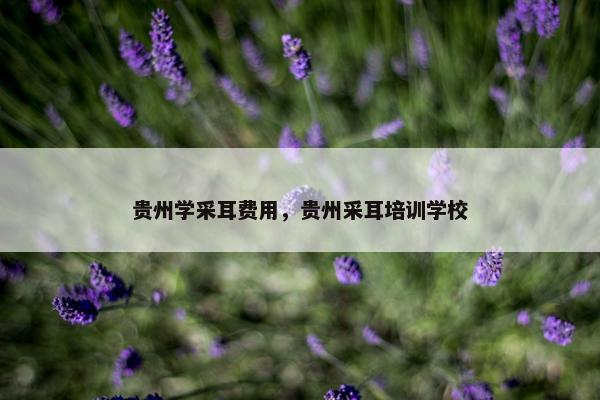 贵州学采耳费用，贵州采耳培训学校