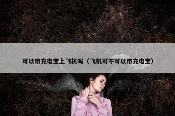 可以带充电宝上飞机吗（飞机可不可以带充电宝）