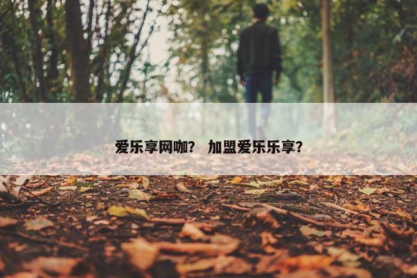 爱乐享网咖？ 加盟爱乐乐享？