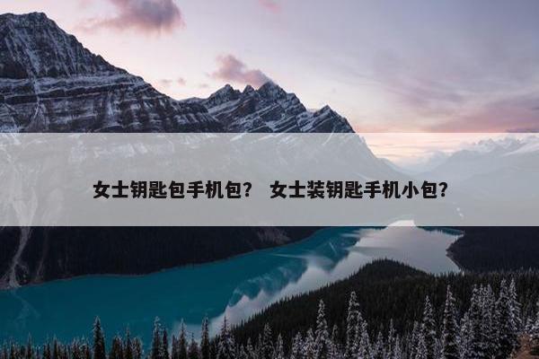 女士钥匙包手机包？ 女士装钥匙手机小包？