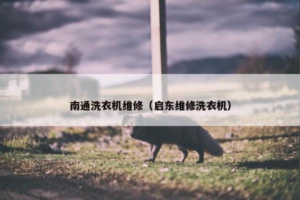 南通洗衣机维修（启东维修洗衣机）