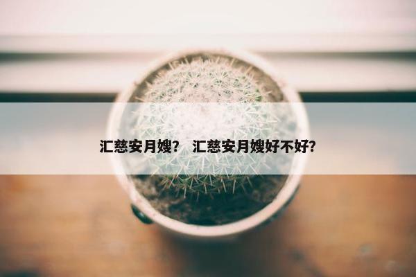 汇慈安月嫂？ 汇慈安月嫂好不好？