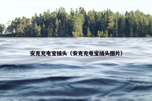 安克充电宝插头（安克充电宝插头图片）