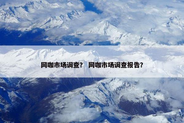 网咖市场调查？ 网咖市场调查报告？