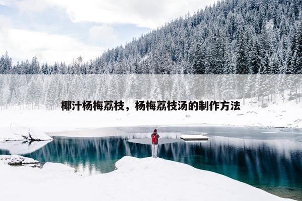 椰汁杨梅荔枝，杨梅荔枝汤的制作方法