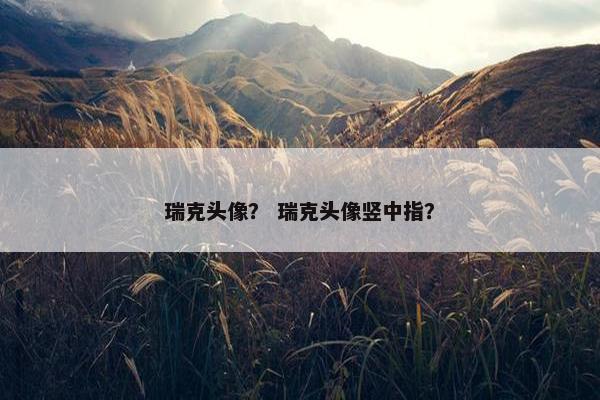 瑞克头像？ 瑞克头像竖中指？