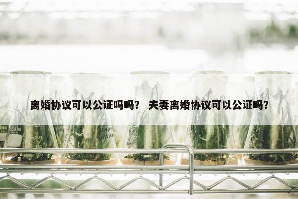 离婚协议可以公证吗吗？ 夫妻离婚协议可以公证吗？