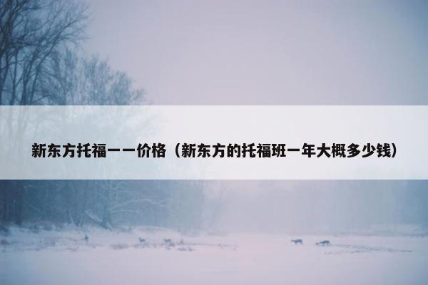 新东方托福一一价格（新东方的托福班一年大概多少钱）