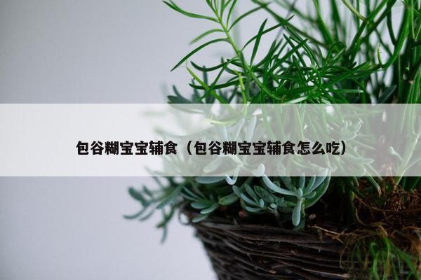 包谷糊宝宝辅食（包谷糊宝宝辅食怎么吃）